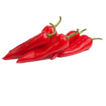 CORNE DE BOEUF ROUGE