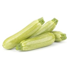COURGETTE BLANCHE