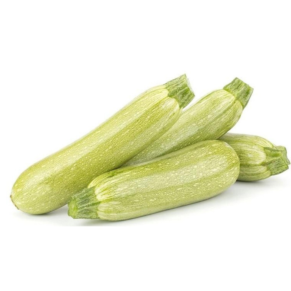 COURGETTE BLANCHE
