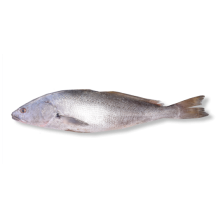 CARTON COURBINE  5KG