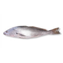 CARTON COURBINE  5KG