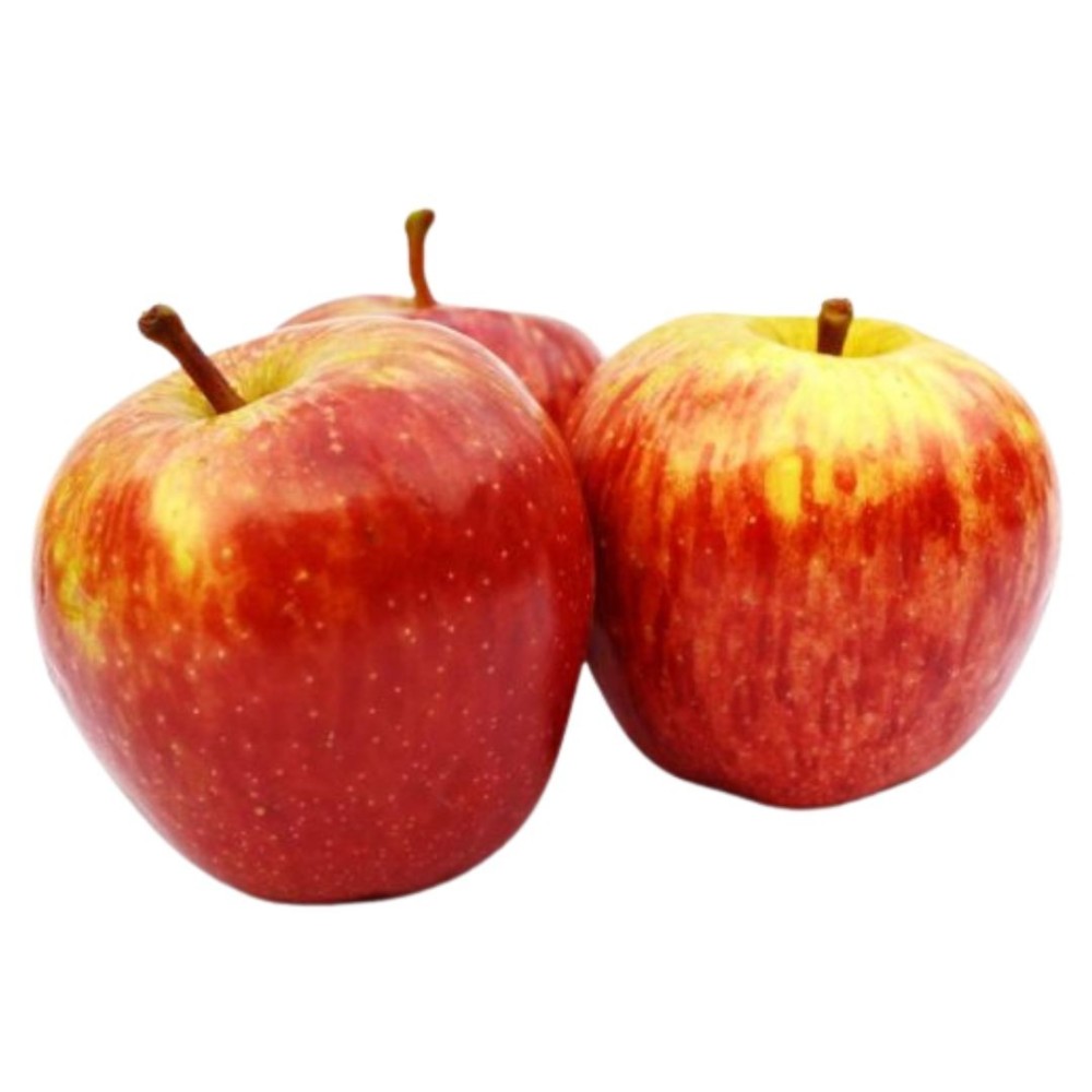 POMME PINOVA