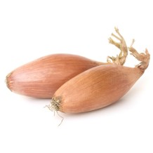 ECHALOTE