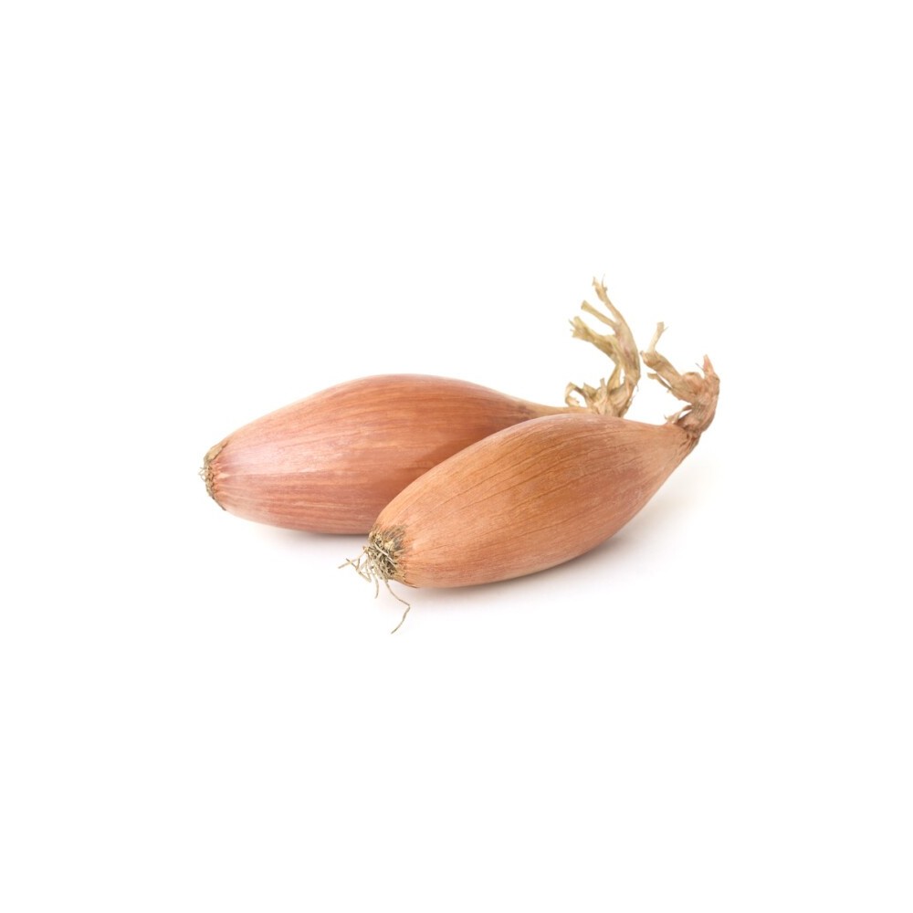 ECHALOTE