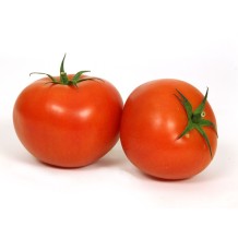 TOMATE GRAPPE