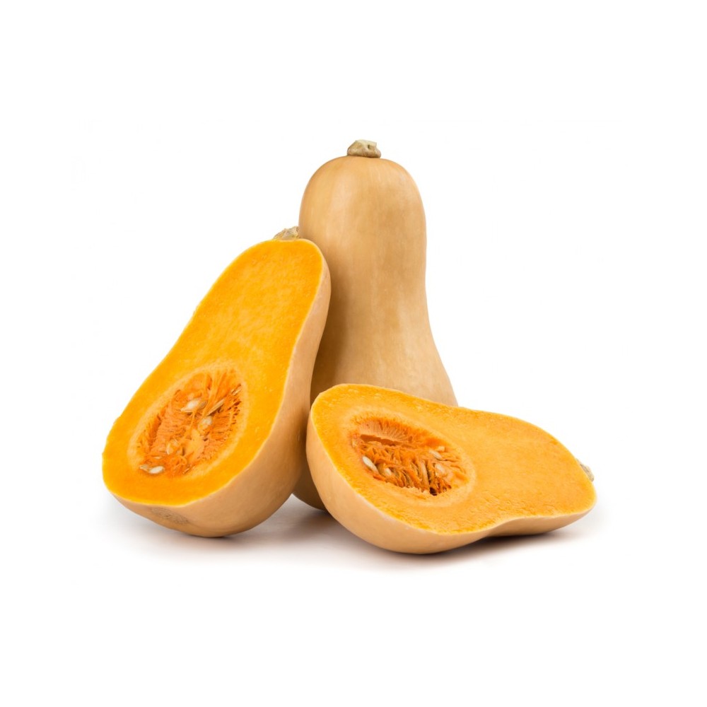 COURGE BUTTERNUT
