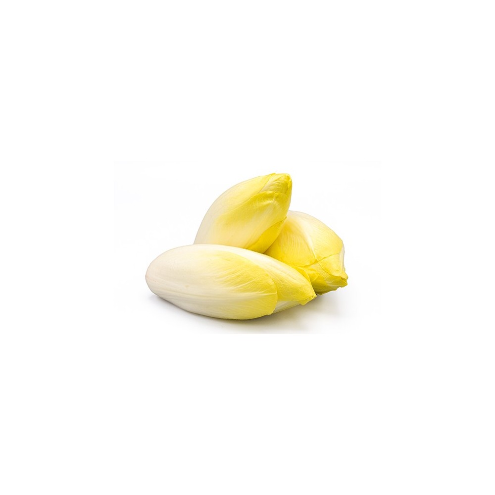 ENDIVE
