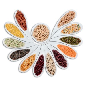 Légumineuses & Graines