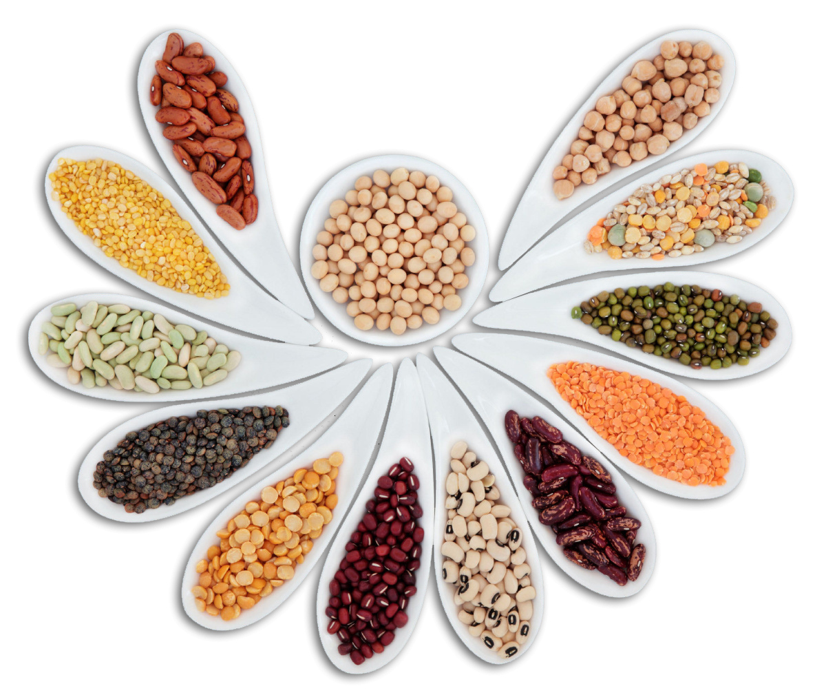 Légumineuses & Graines